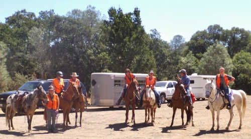 081614highlandshorses