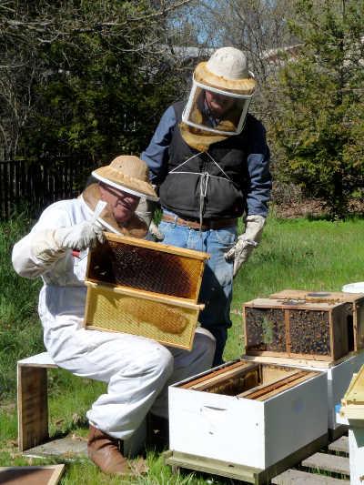 allenbeekeeper