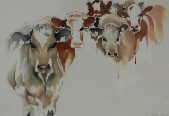 cowslindamoran