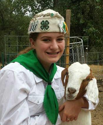 ericaillgandgoat
