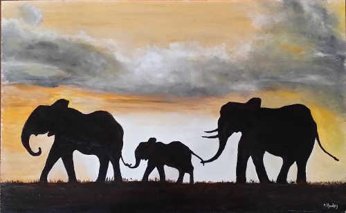 hawleyelephants