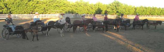 hoovesandwheelsgroup