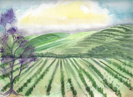 liebevineyard