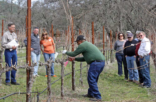 sixsigmapruninggroup