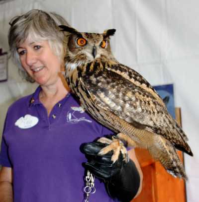 The Eurasian Eagle Owl, one of the largest owls in the world, is part of the live birds show on Saturday afternoon, May 5, 2012, at the Heron Festival. A wide range of fun (and free of charge) educational activities are available for kids to learn about nature, including how to make owl masks and peanut butter birdseed feeders. raptorspeak