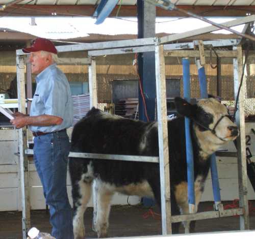 020412livestocklecture