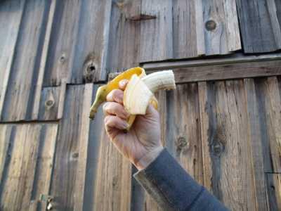 Bananas are a powerhouse of nutrition, including amazingly high stores of potassium. Photo by Esther Oertel. veggiegirlbanana2