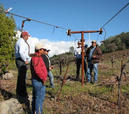Participants in the first Master Vigneron Academy discuss winegrape growing techniques. Courtesy photo. vignerongroup1