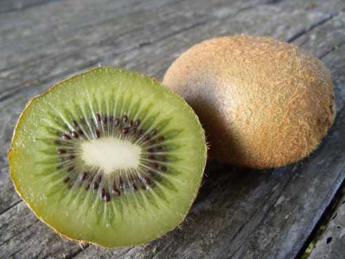 Kiwi fruit has more vitamin C packed into its emerald flesh than oranges. Just one provides more than 100 percent of our daily requirement. Photo by Esther Oertel. 051312kiwis