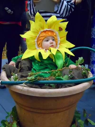 Little sunflower Chevelle Sprague was the winner of the costume contest 0-3 age group at the Lakeport Kiwanis Halloween Party on Wednesday, October 31, 2012, in Lakeport, Calif. sunflowerbaby
