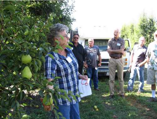 Diane Henderson explains how to size a pear for harvest during an AgVenture class. Photo by Terry Dereniuk. agventurehenderson