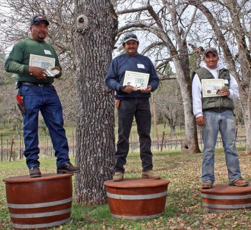 030413pruningwinners