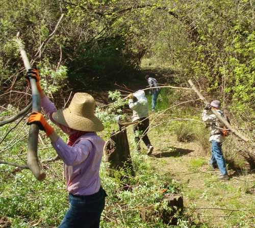 042113hstvcleanup