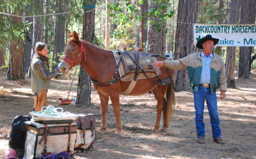 Debbie Watson and Paul Villanueva of the Lake-Mendo Unit of the Back Country Horsemen demonstrate how to pack a mule for the backcountry at the “Wag, Walk and Wride” trail etiquette event at Boggs Mountain Demonstration State Forest in Cobb, Calif., on Sunday, October 14, 2013. Photo by David Thiessen. 101313boggswagmule
