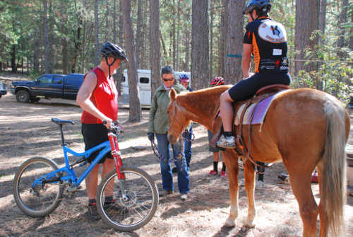 Tom Smythe gets acquainted with Morgan horse Shalako who stands by her mistress, Virginia Vovchuk, while members of the Clear Lake and Kelseyville High School Bike Team (with Craig Andre on the Shalako) take turns to experience what it’s like to be on a different kind of saddle at the “Wag, Walk and Wride” trail etiquette event at Boggs Mountain Demonstration State Forest in Cobb, Calif., on Sunday, October 14, 2013. Photo by David Thiessen. 101313boggswagsmythe
