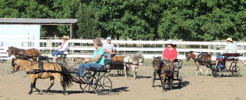 hoovesandwheelscircles