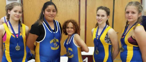 031216vikinggoldwrestlers