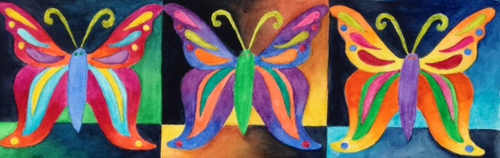 fentonbutterflies