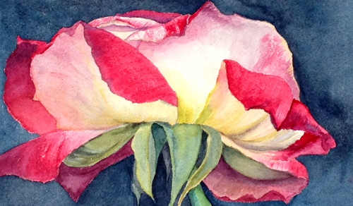 fentonrose