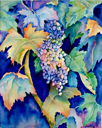 stawickiwildvines